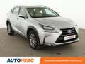Lexus NX 300h 300h Business 2WD Auto Grau - thumbnail 8