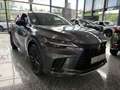 Lexus RX 500h DIRECT4 F SPORT+ LED, Navi, Pano, HUD, BT Grau - thumbnail 2