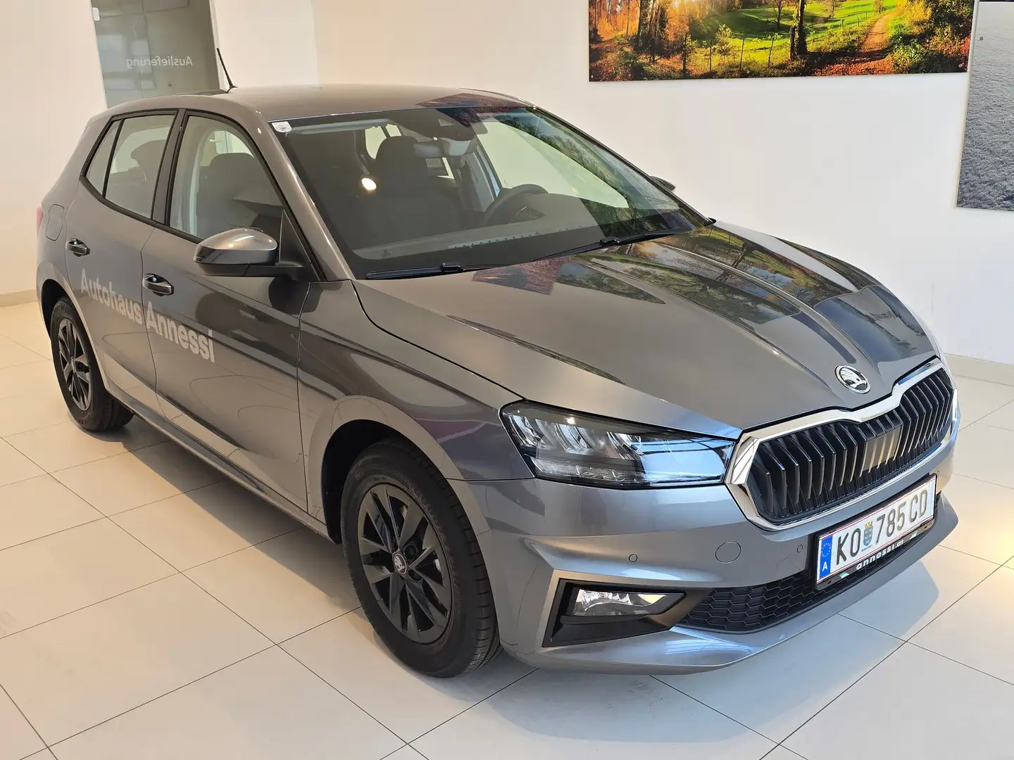 Skoda Fabia Selection Grau - 1