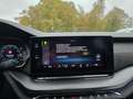 Skoda Octavia Combi RS Plus 4x4 Panorama AHK Чёрный - thumbnail 29