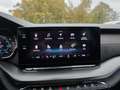 Skoda Octavia Combi RS Plus 4x4 Panorama AHK Чёрный - thumbnail 24