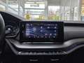 Skoda Octavia Combi RS Plus 4x4 Panorama AHK Чёрный - thumbnail 37