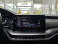 Skoda Octavia Combi RS Plus 4x4 Panorama AHK Чёрный - thumbnail 39