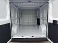 Fiat Ducato 33 L2H1 140 Multijet Flachdach verblecht - thumbnail 5