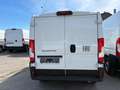 Fiat Ducato 33 L2H1 140 Multijet Flachdach verblecht - thumbnail 10