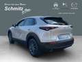 Mazda CX-30 Prime-Line HUD Navi ACC Apple CarPlay Android Auto Bronce - thumbnail 3