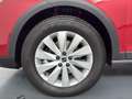 SEAT Arona 1.0 TSI S&S Style Special Edition 115 Rojo - thumbnail 8