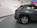 Lexus UX 200 250h 2.0 Business 2wd cvt my20 Grau - thumbnail 22