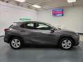 Lexus UX 200 250h 2.0 Business 2wd cvt my20 Grau - thumbnail 6