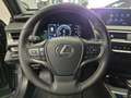 Lexus UX 200 250h 2.0 Business 2wd cvt my20 Grau - thumbnail 13