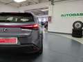 Lexus UX 200 250h 2.0 Business 2wd cvt my20 Grau - thumbnail 24
