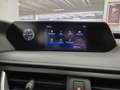 Lexus UX 200 250h 2.0 Business 2wd cvt my20 Grau - thumbnail 46