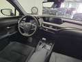 Lexus UX 200 250h 2.0 Business 2wd cvt my20 Grau - thumbnail 32