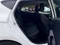 Ford Fiesta 1,1 * 1 HAND *89 TKM *TÜV + SERVICE NEU Weiß - thumbnail 14
