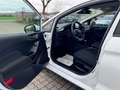 Ford Fiesta 1,1 * 1 HAND *89 TKM *TÜV + SERVICE NEU Weiß - thumbnail 10
