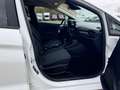 Ford Fiesta 1,1 * 1 HAND *89 TKM *TÜV + SERVICE NEU Weiß - thumbnail 15
