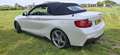BMW 235 High Executive Wit - thumbnail 19