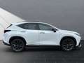 Lexus NX 450h+ 450 h+ F SPORT 4x4 Weiß - thumbnail 6