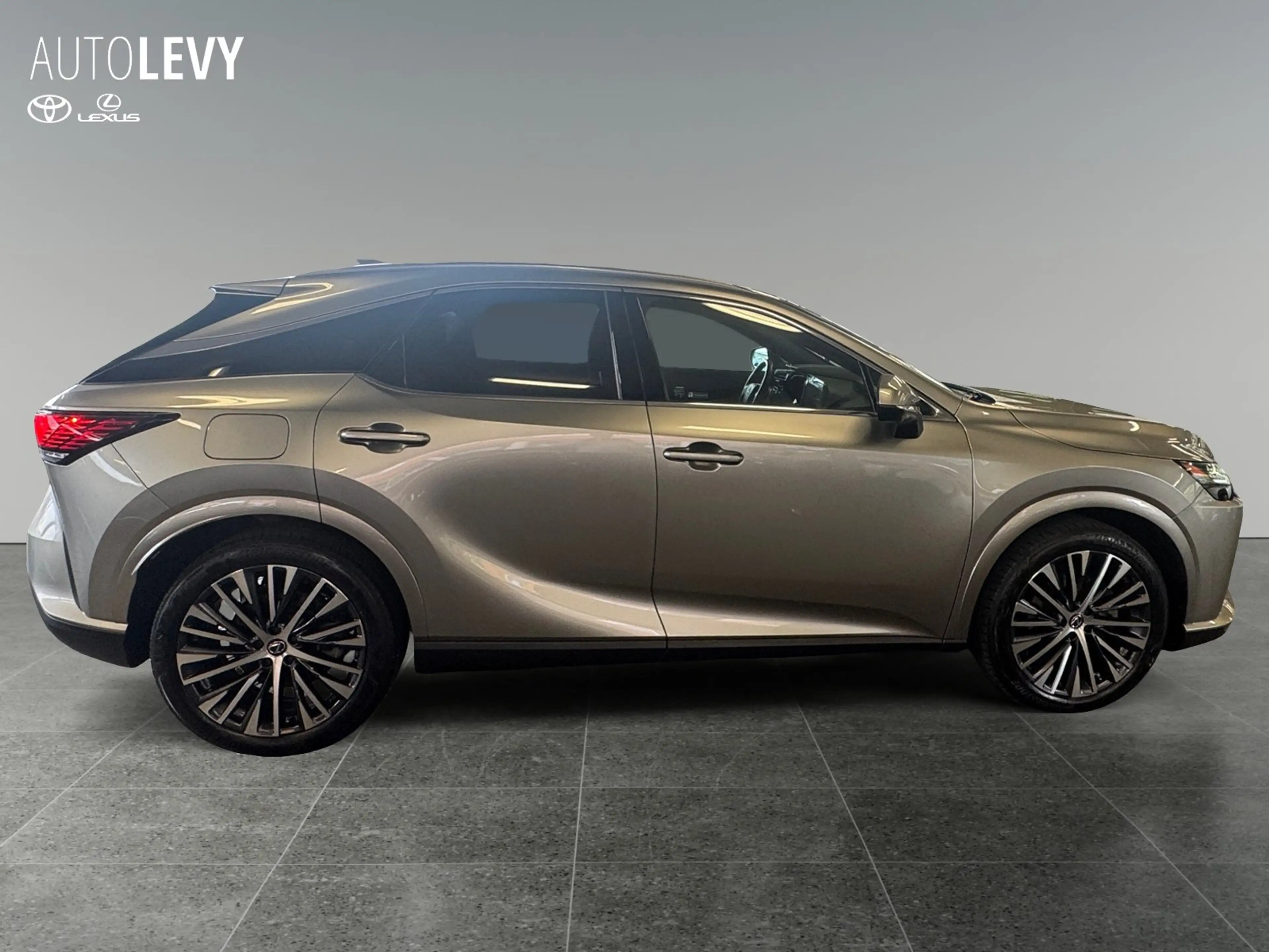 Lexus RX 450h + Executive Line *Pano* — photo 7