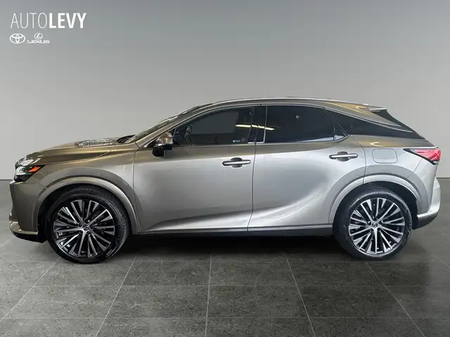 Lexus RX view 3