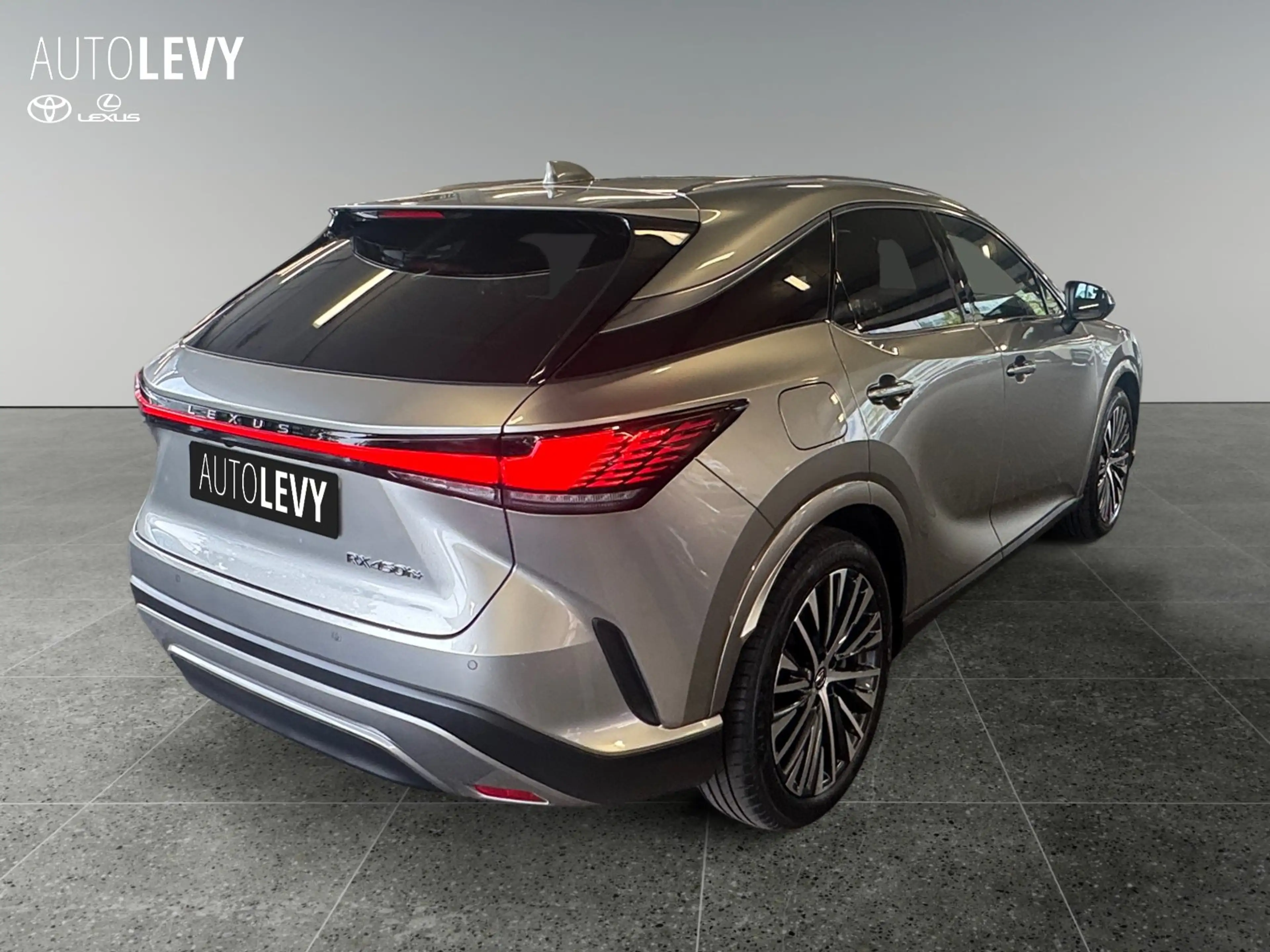 Lexus RX 450h + Executive Line *Pano* — photo 6