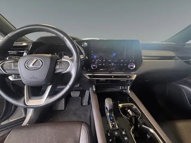 Lexus RX view 11