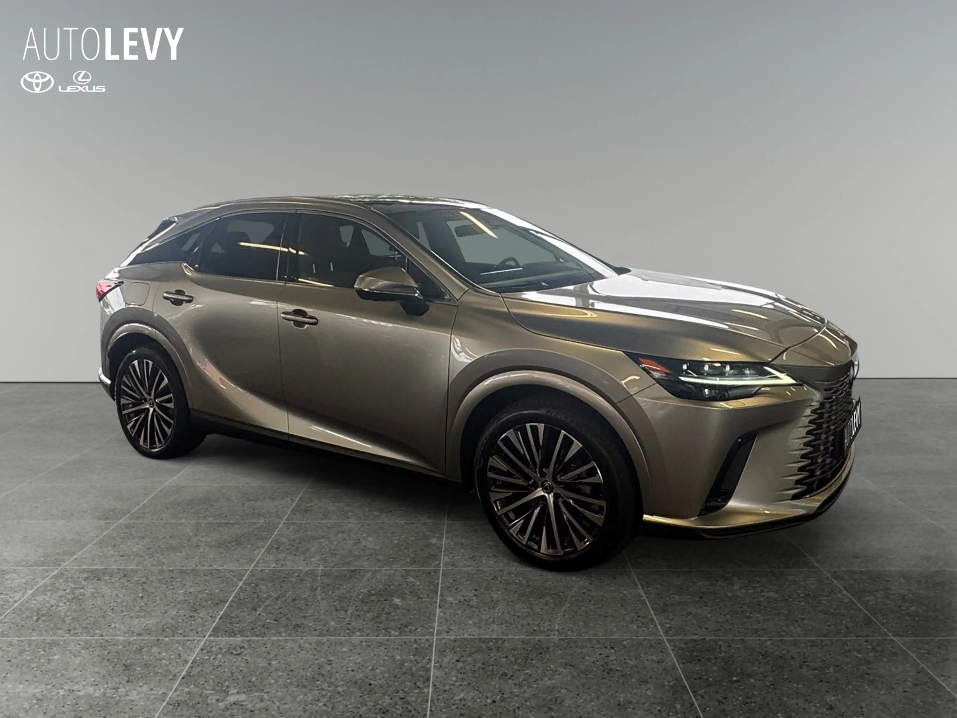 Lexus RX 450h + Executive Line *Pano* — photo 8
