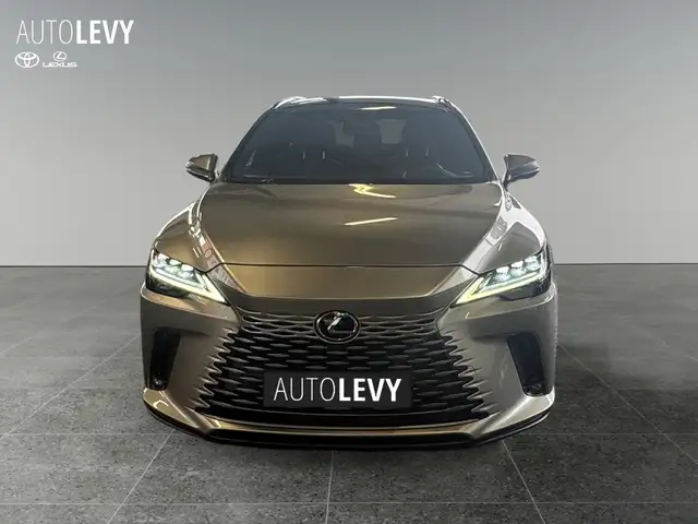 Lexus RX view 9