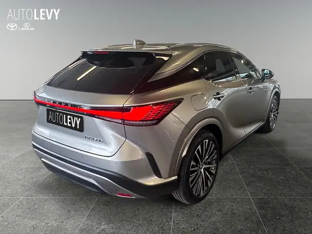 Lexus RX view 6