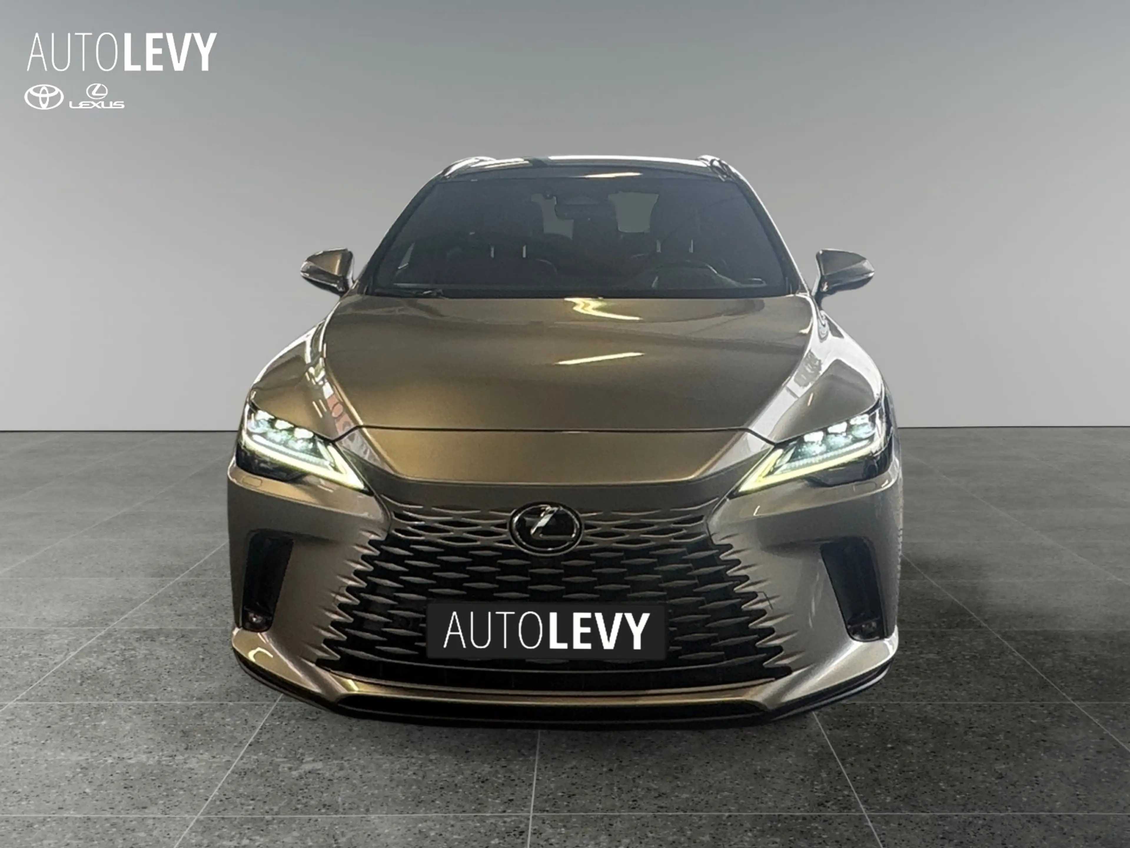 Lexus RX 450h + Executive Line *Pano* — photo 9