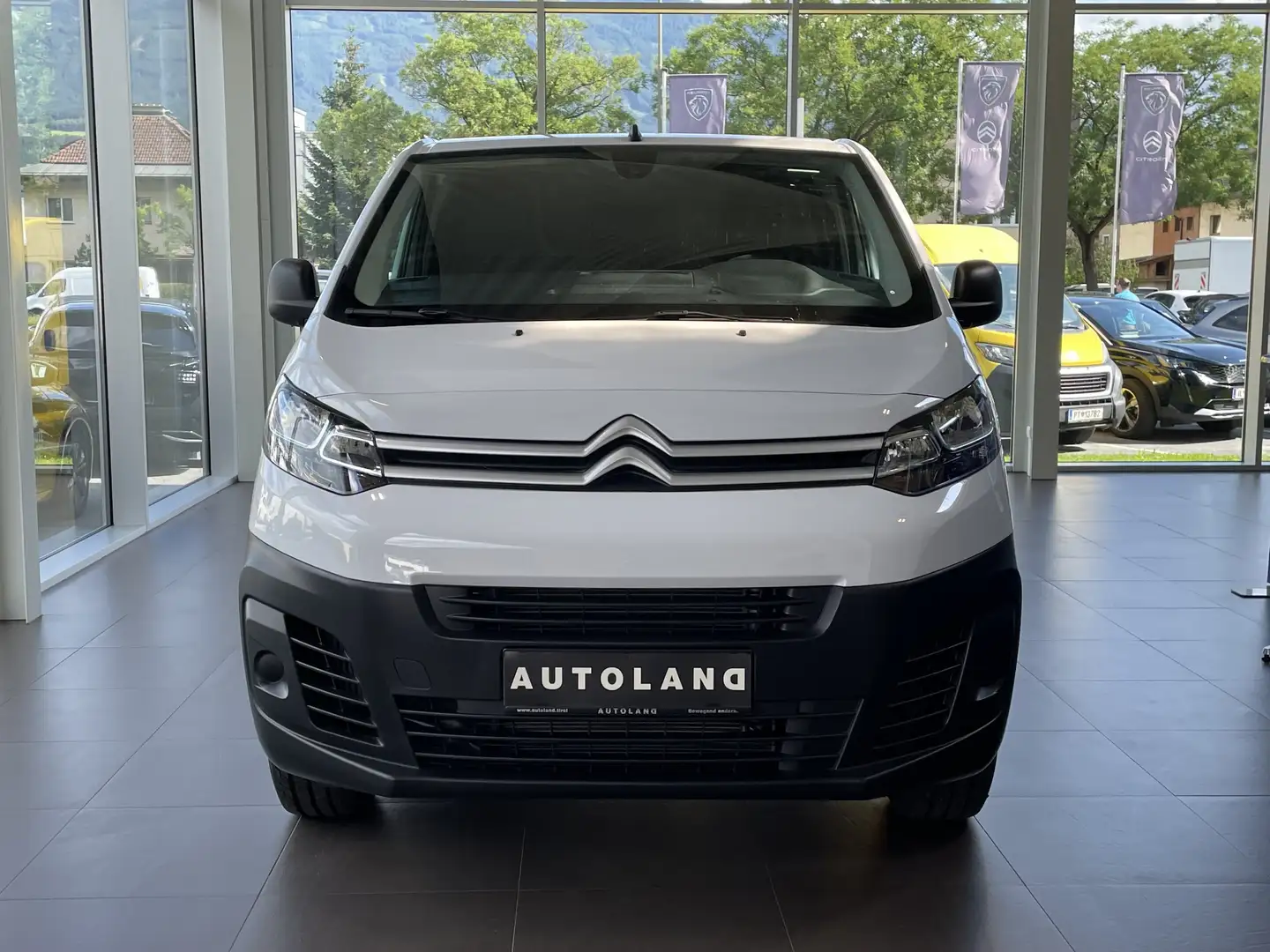 Citroen Jumpy DANGEL 4X4 M / ALLRAD Weiß - 2