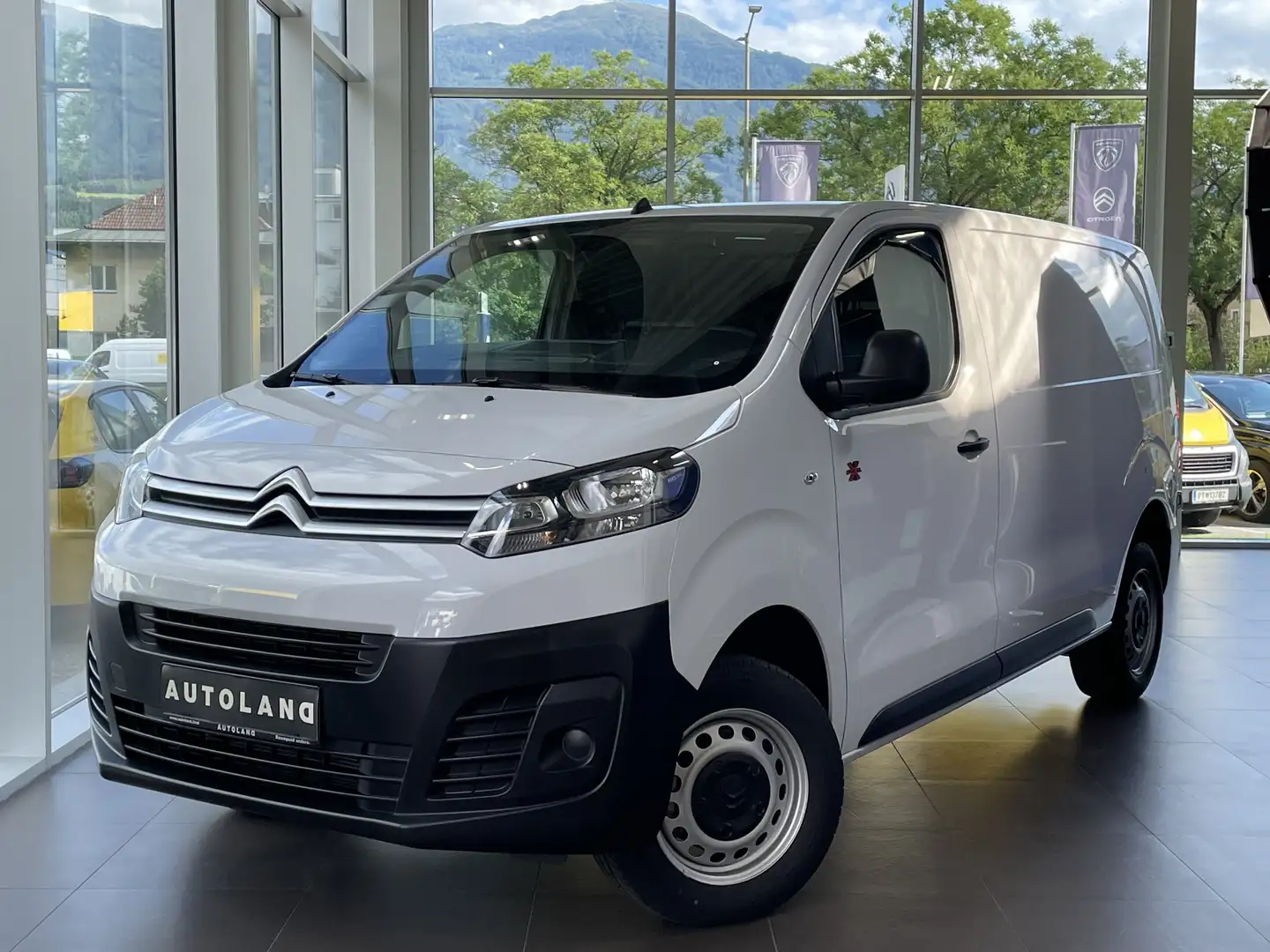Citroen Jumpy DANGEL 4X4 M / ALLRAD Weiß - 1