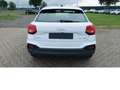 Audi Q2 30 1.0 TFSI BMT Navi Klima ALU Weiß - thumbnail 4