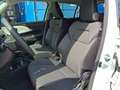 Suzuki Swift 1.2 Hybrid Shine CVT LED+Navi+SHZ+Kam.+PDC Weiß - thumbnail 16