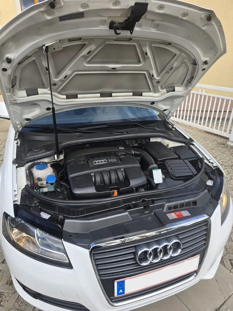 Audi A3 Audi A3 Sportback 1.6 – Jubiläumsmodell, 2010 Weiß - 2