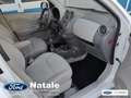 Nissan Micra Micra 5p 1.2 dig-s Tekna 98cv Bianco - thumbnail 13