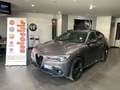 Alfa Romeo Stelvio 2.2 Turbodiesel 210 CV AT8 Q4 Veloce Rif. Anto Grigio - thumbnail 1