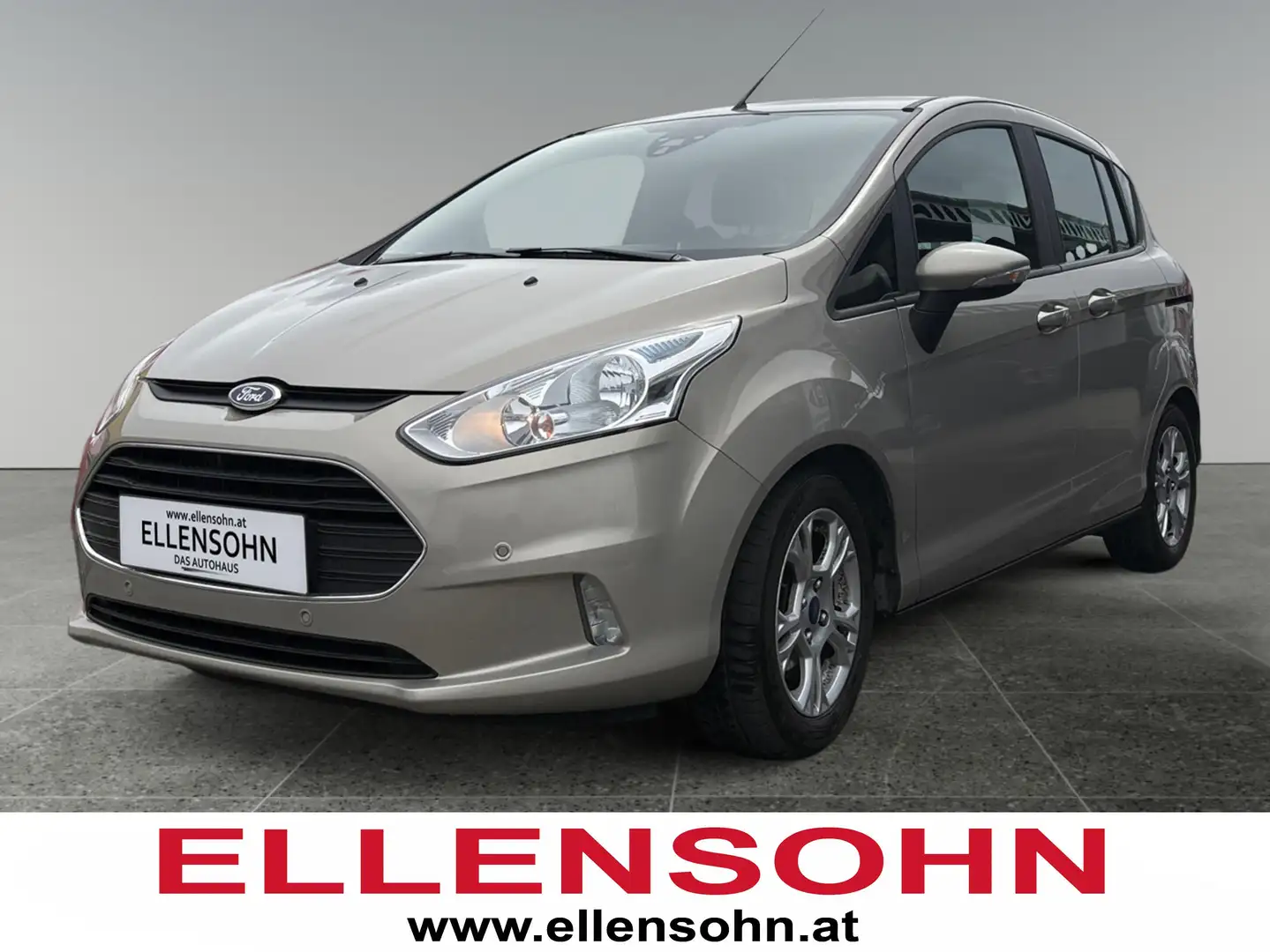 Ford B-Max 8-fach bereift! Grau - 1