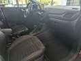 Ford Puma Puma 1.0 EcoBoost Hybrid Aut. VIVID RUBY EDITION Rot - thumbnail 14