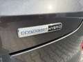 Ford Puma ST-Line X 1.0 EcoBoost Mild Hybrid Navi B&O Digita Gris - thumbnail 23