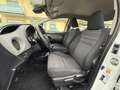 Toyota Yaris 5/P 1.4 D4D TAGLIANDATA SI A NEOPATENTATI Weiß - thumbnail 7