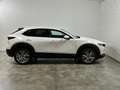Mazda CX-30 2.0 m-hybrid exceed 2wd 150cv 6mt Blanc - thumbnail 6