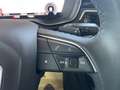 Audi A5 SB 30 TDI S-Line S-tronic-MATRiXLED-PANORMA-ACC... Grau - thumbnail 22