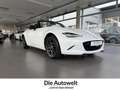 Mazda MX-5 Sports-Line 1.5 CABRIO NAVI LED SHZG GRA BT Klima Weiß - thumbnail 1