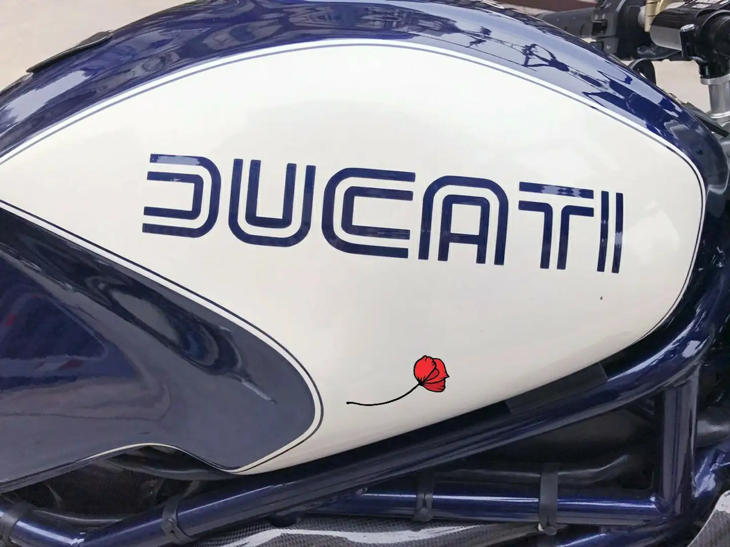 Ducati Monster S4R Blu/Azzurro - 1