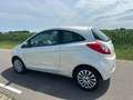 Ford Ka/Ka+ Ford Ka 1.2 2009 Wit | NAP | APK | Airco | Wit - thumbnail 3