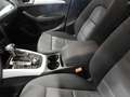 Audi Q5 AUDI Q5 20 TDI QUATTRO S-TRONIC ADVANCED 163CV Nero - thumbnail 11