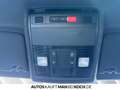 SEAT Ibiza 1.0 TSI DSG XCELLENCE NAVI LED PDC V+H FSE Grau - thumbnail 32