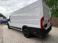 Opel Movano 2.2 CDTI HKa L4H2 3,5t Edition DAB Klima Blanco - thumbnail 2