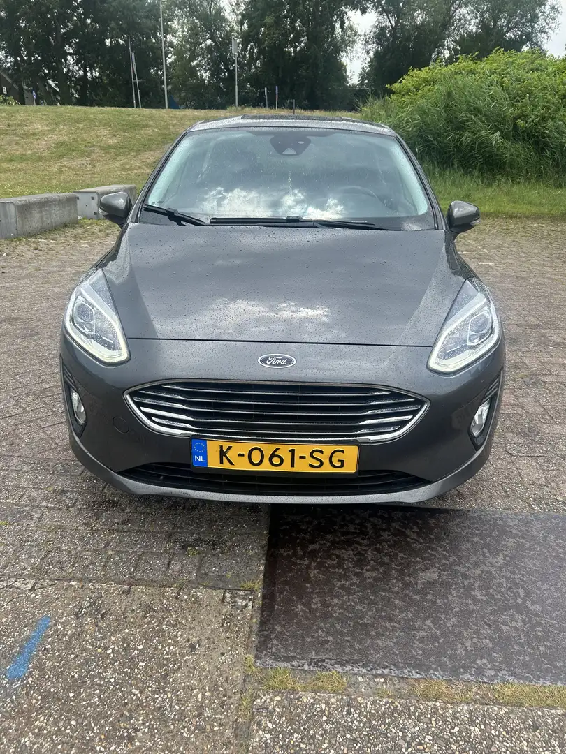 Ford Fiesta 1.0 EcoB. Titanium Grijs - 1